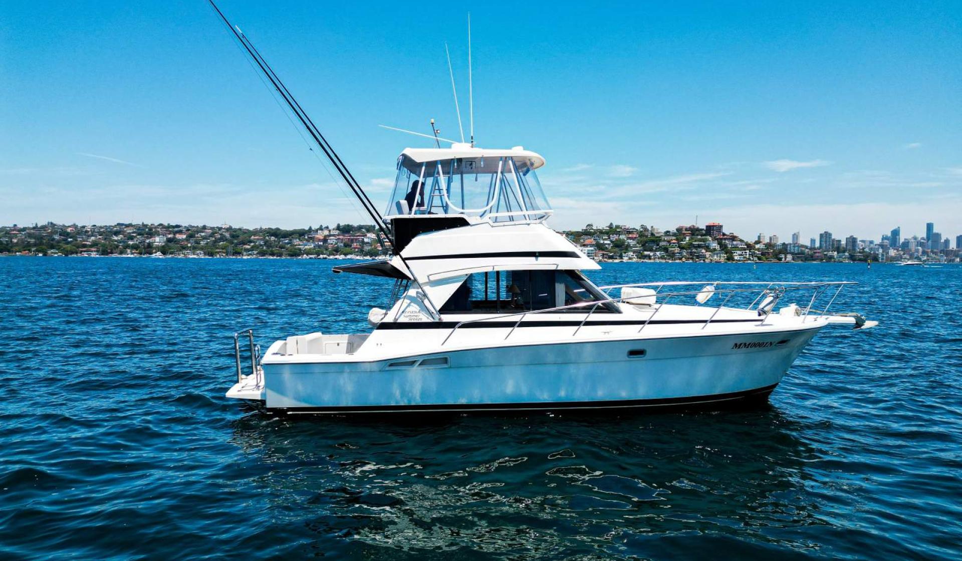 Riviera 36 Flybridge 1996 Model - Photo 1