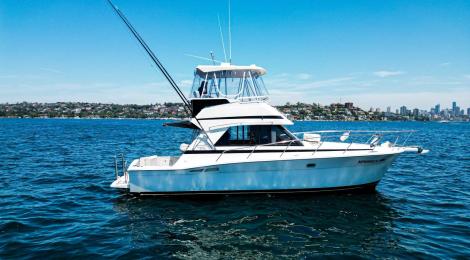 Riviera 36 Flybridge 1996 Model - Thumbnail 31