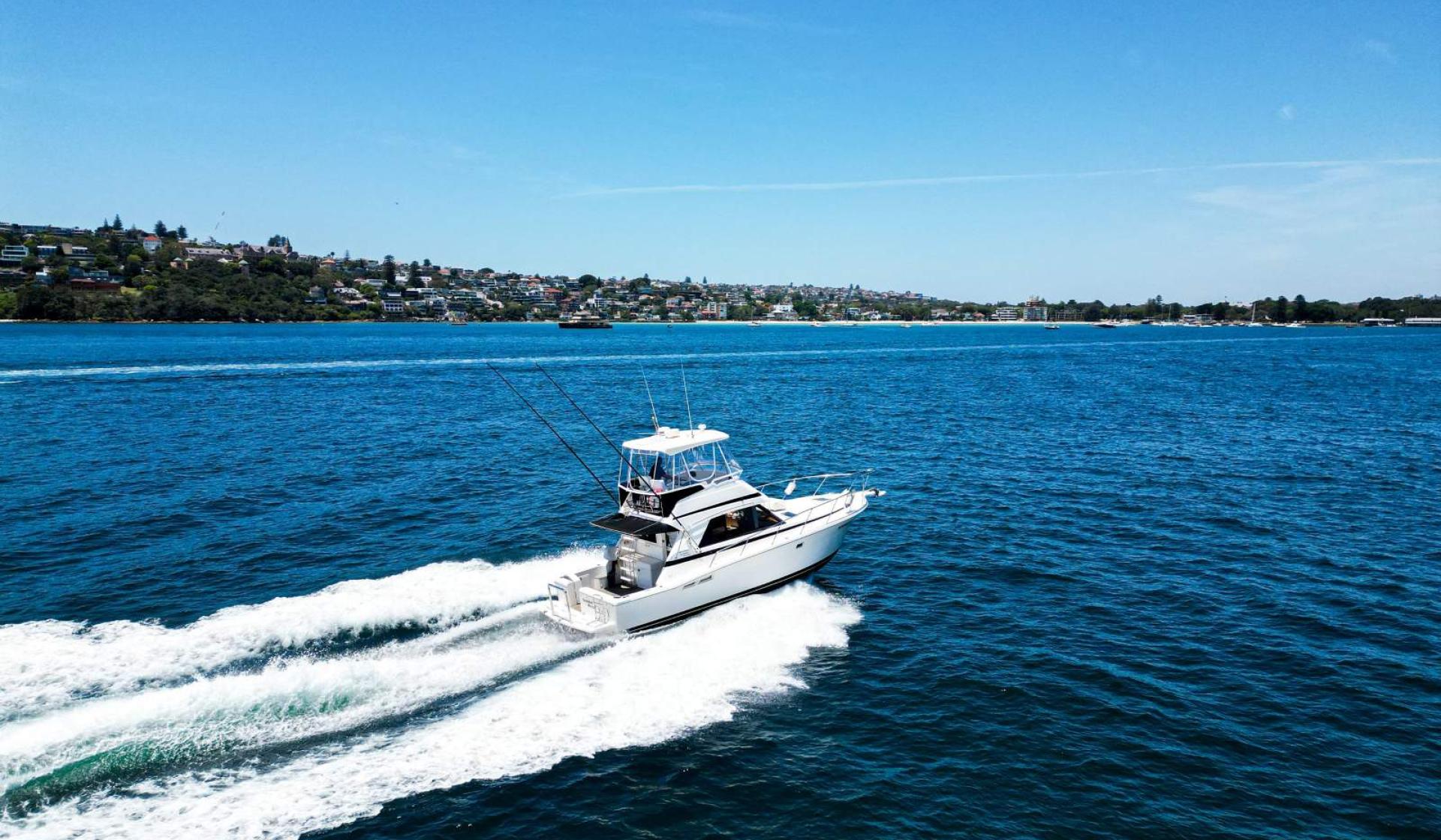 Riviera 36 Flybridge 1996 Model - Photo 14