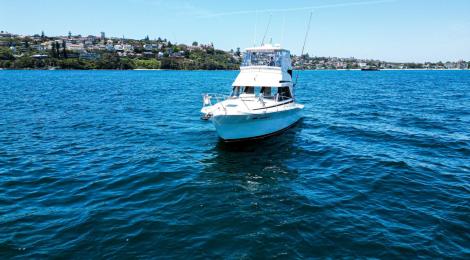 Riviera 36 Flybridge 1996 Model - Thumbnail 31