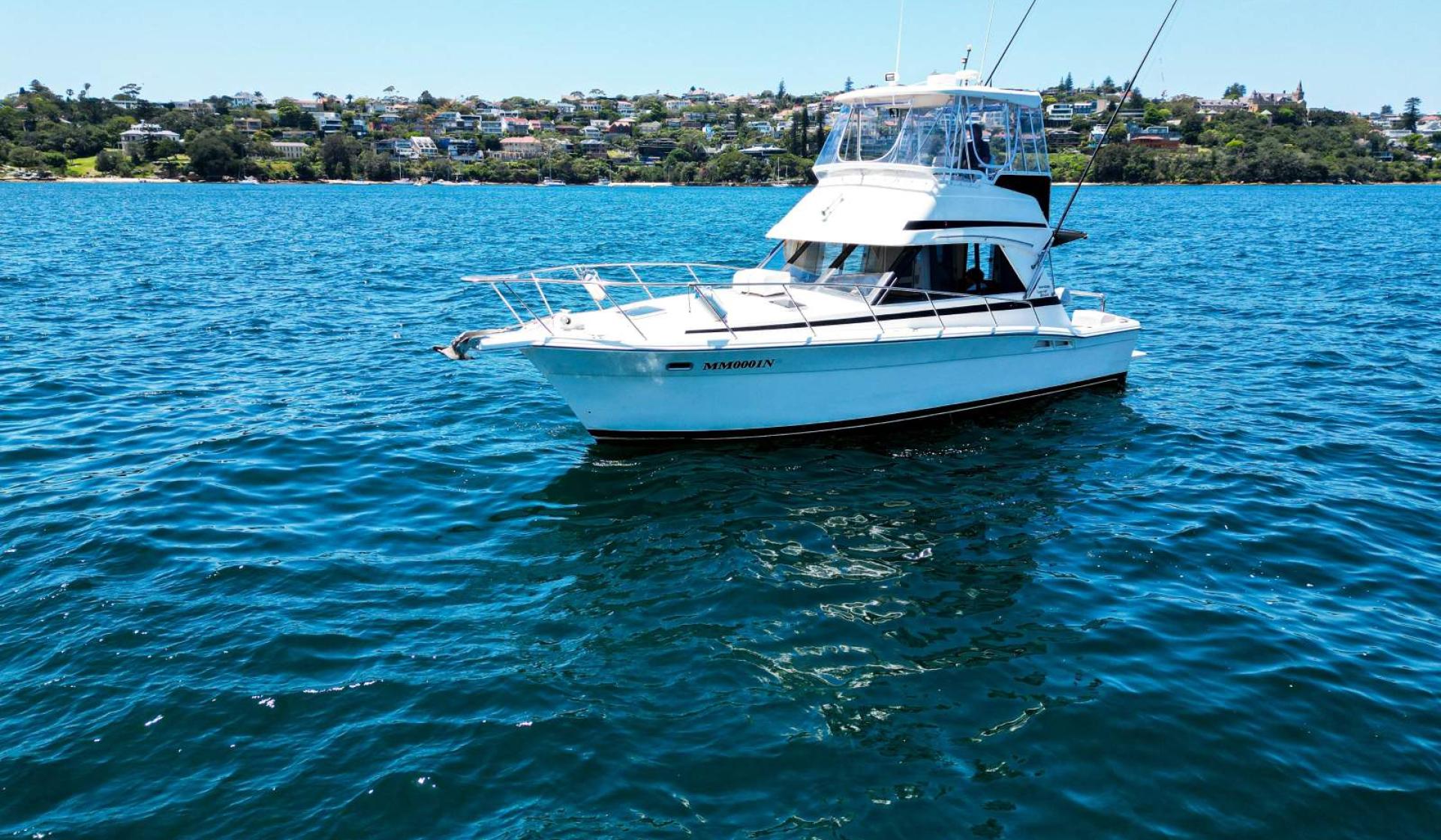 Riviera 36 Flybridge 1996 Model - Photo 5