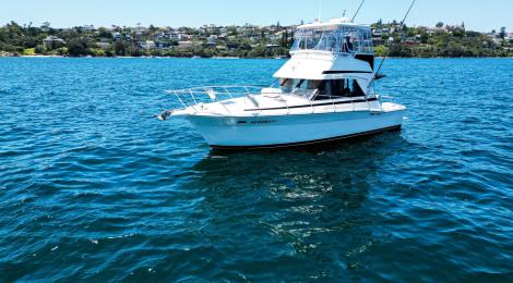 Riviera 36 Flybridge 1996 Model - Thumbnail 31