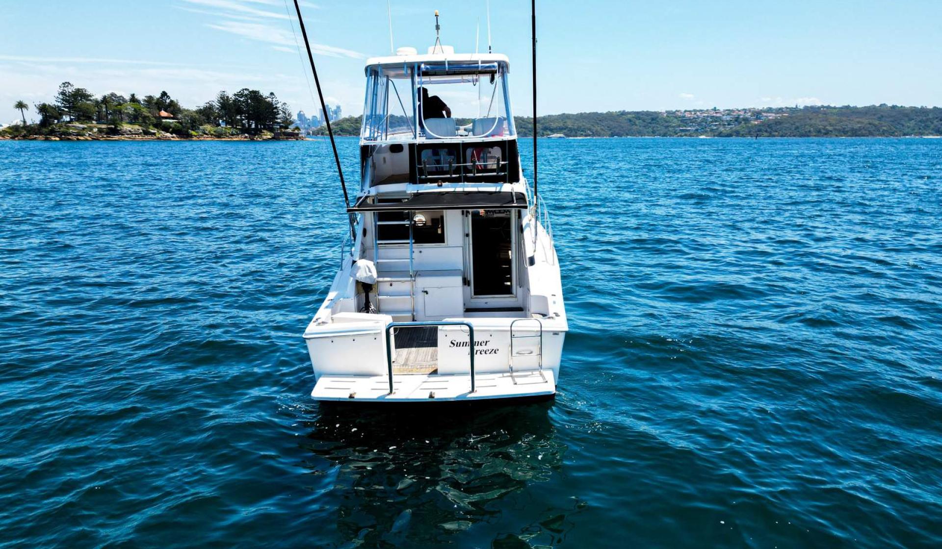 Riviera 36 Flybridge 1996 Model - Photo 6