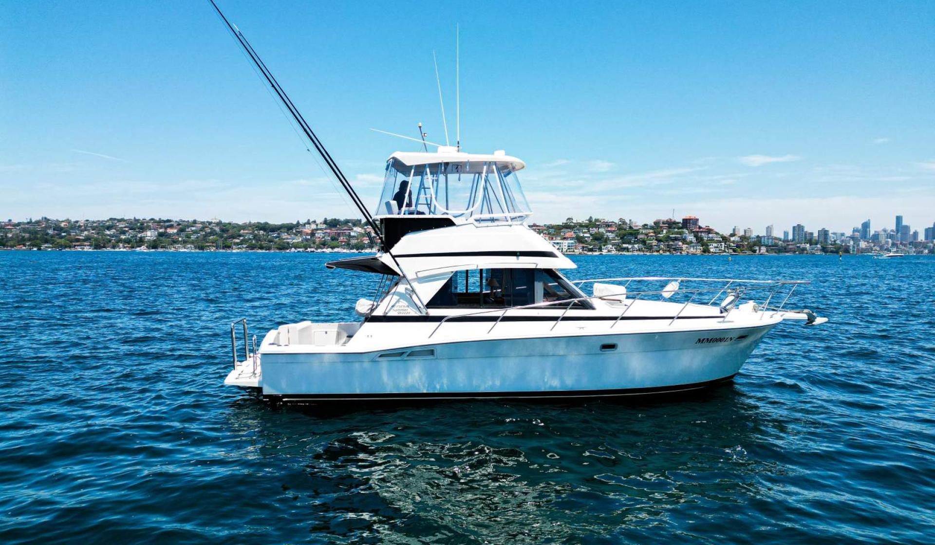 Riviera 36 Flybridge 1996 Model - Photo 7