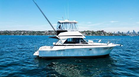 Riviera 36 Flybridge 1996 Model - Thumbnail 31