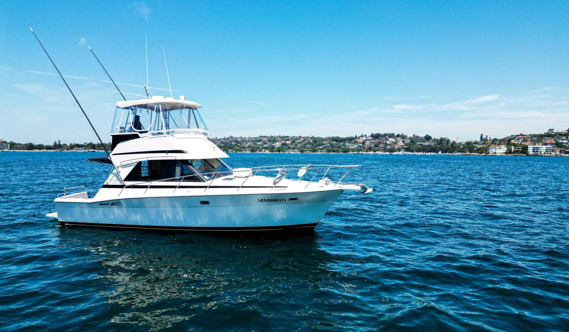 Riviera 36 Flybridge 1996 Model - Photo 8