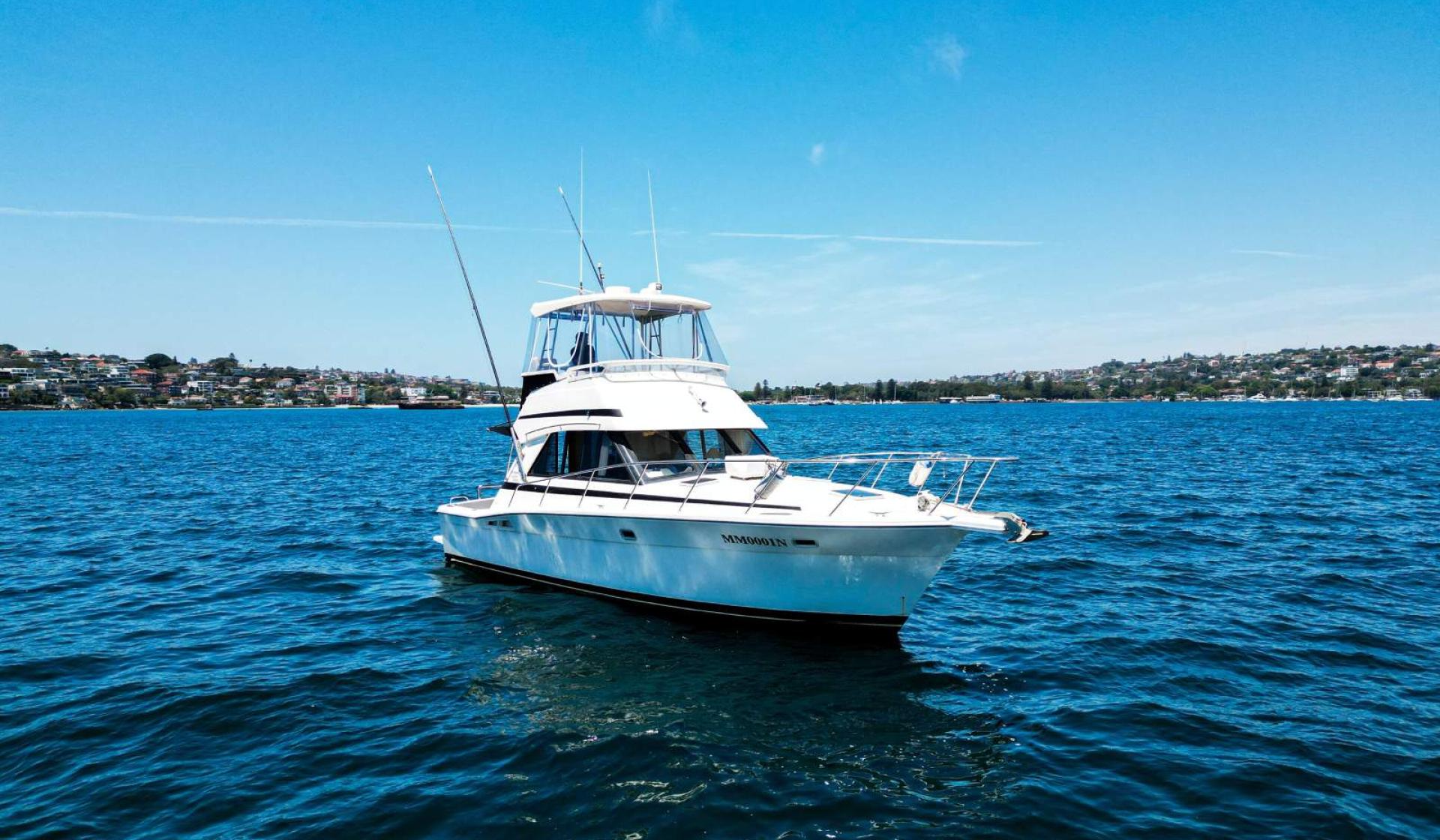 Riviera 36 Flybridge 1996 Model - Photo 9