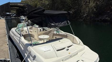 Sea Ray 220 Sundeck - Thumbnail 11