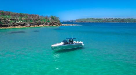 Schaefer V33 - Thumbnail 50